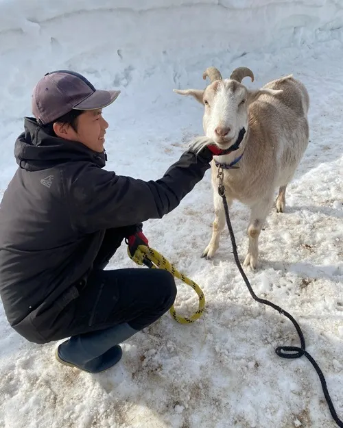 ふれあいのようす